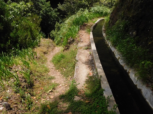 Levada Nova — First crossing of the Ribeira da Madalena — photo 11