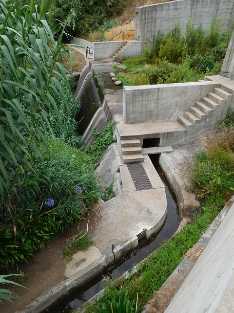 Levada Nova — Weitere Beschreibungen — Foto 45