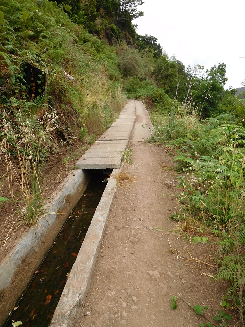 Levada Nova — Weitere Beschreibungen — Foto 50