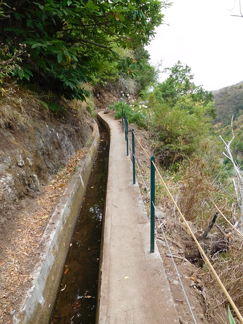 Levada Nova — Weitere Beschreibungen — Foto 53