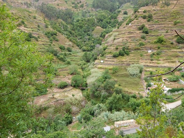 Levada Nova — Weitere Beschreibungen — Foto 54