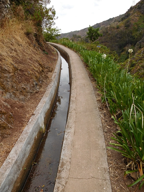 Levada Nova — Weitere Beschreibungen — Foto 58