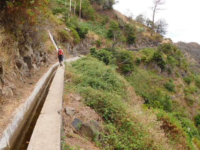 Levada Nova — Weitere Beschreibungen — Foto 62