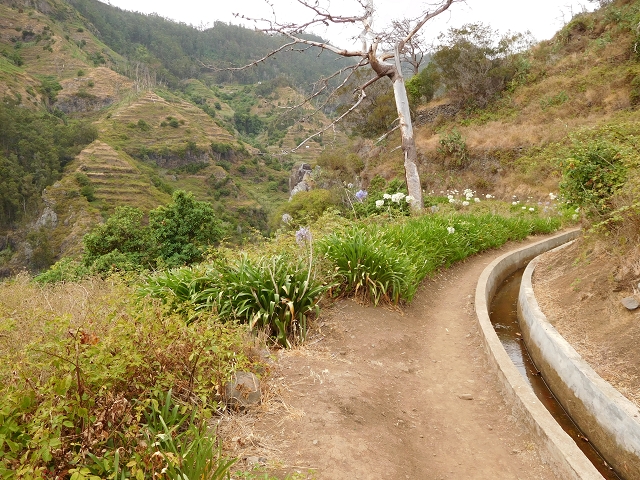 Levada Nova — Weitere Beschreibungen — Foto 66