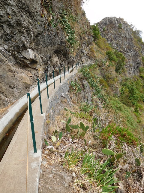 Levada Nova — Weitere Beschreibungen — Foto 69