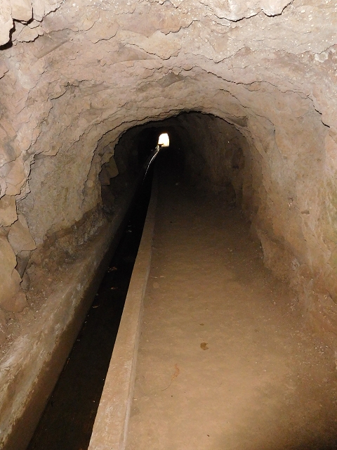 Levada Nova — Weitere Beschreibungen — Foto 72