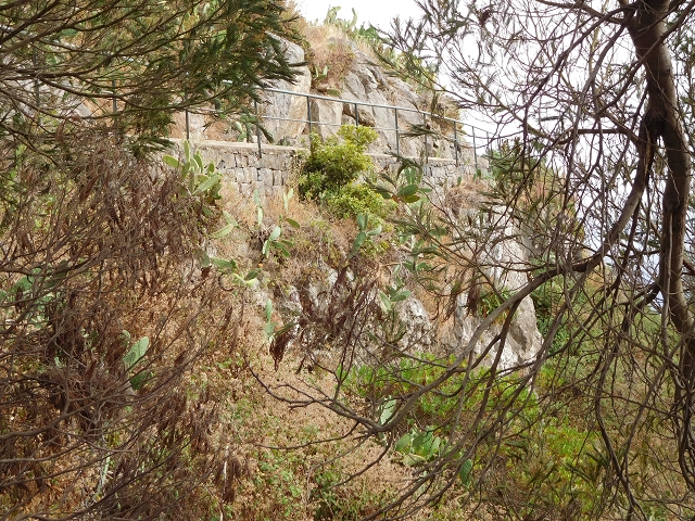 Levada Nova — Weitere Beschreibungen — Foto 75