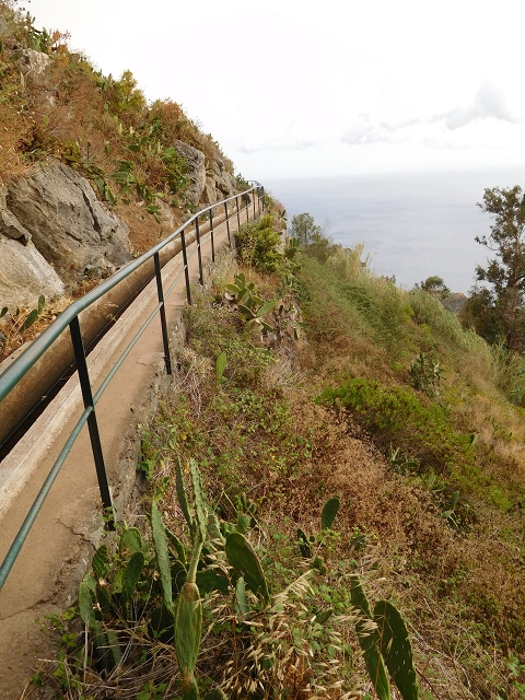Levada Nova — Weitere Beschreibungen — Foto 76