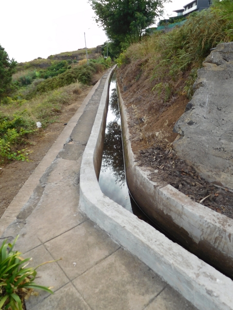 Levada Nova — Weitere Beschreibungen — Foto 78