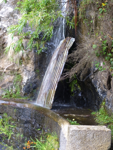 Levada Nova — Weitere Beschreibungen — Foto 17