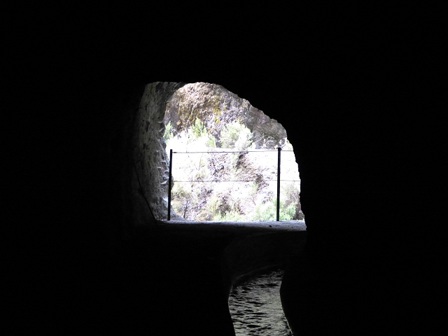 Levada Nova — Weitere Beschreibungen — Foto 6