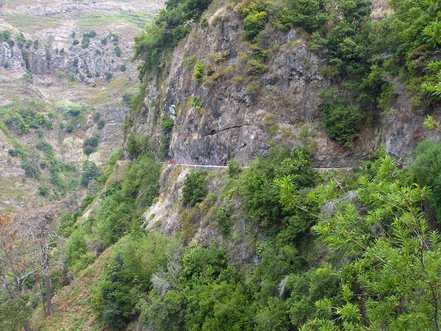 Levada Nova — Weitere Beschreibungen — Foto 9
