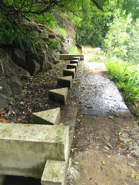 Levada Nova — Weiter bis zur 1. Grossen Wasserabzweigung — Foto 2