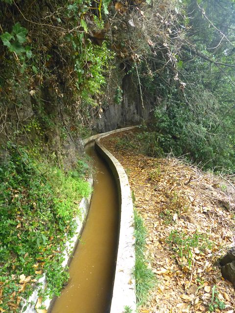Levada Nova — Weiter bis zur 1. Grossen Wasserabzweigung — Foto 3