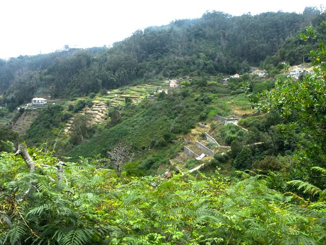 Levada Nova — Weiter bis zur 1. Grossen Wasserabzweigung — Foto 5