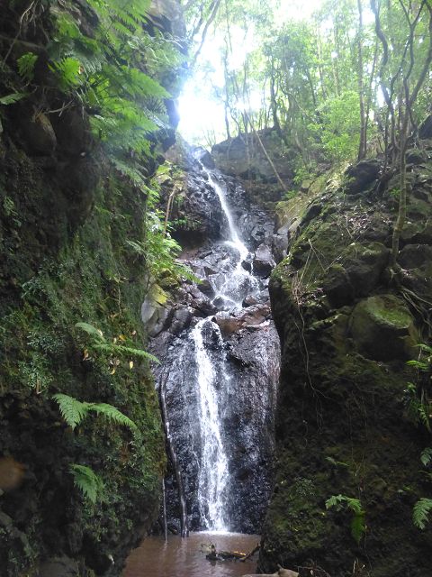 Levada Nova — Wasserfälle hinter der Madre — Foto 4