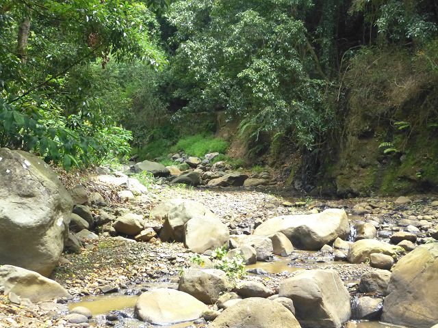 Levada Nova — Wasserfälle hinter der Madre — Foto 5