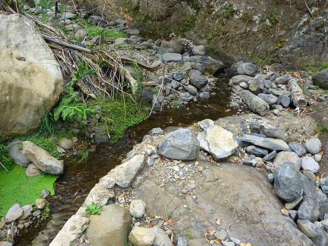 Levada Nova de Machico — Abschnitt 1: Von der Madre zum Aufstiegsweg von Maroços — Foto 1