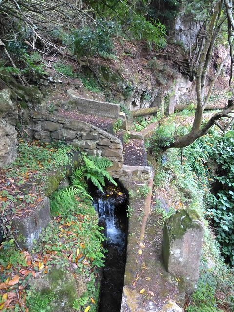 Levada Nova de Machico — Abschnitt 1: Von der Madre zum Aufstiegsweg von Maroços — Foto 13