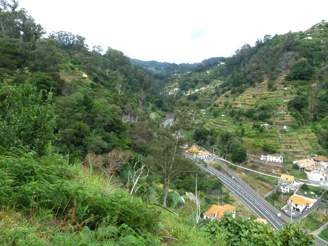Levada Nova de Machico — Abschnitt 1: Von der Madre zum Aufstiegsweg von Maroços — Foto 17