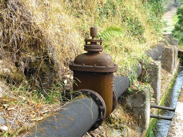 Levada Nova de Machico — Abschnitt 1: Von der Madre zum Aufstiegsweg von Maroços — Foto 18