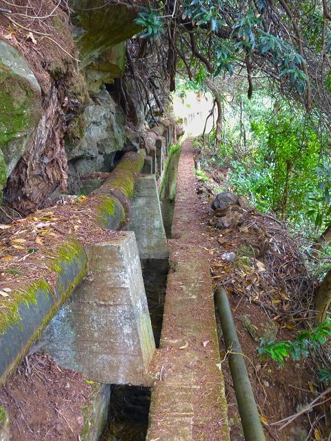 Levada Nova de Machico — Abschnitt 1: Von der Madre zum Aufstiegsweg von Maroços — Foto 19