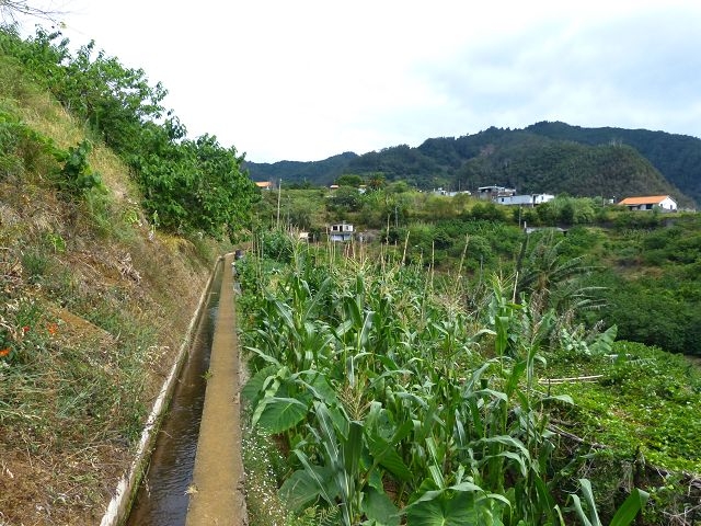 Levada Nova de Machico — Abschnitt 2: Vom Aufstiegsweg von Maroços zur ER108 — Foto 1
