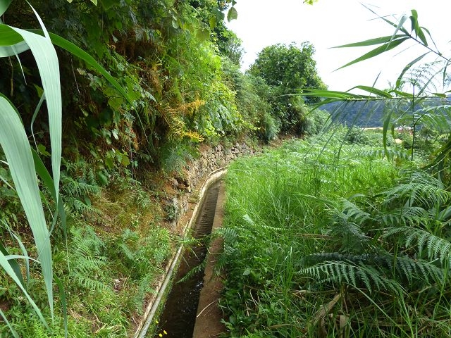 Levada Nova de Machico — Abschnitt 2: Vom Aufstiegsweg von Maroços zur ER108 — Foto 2