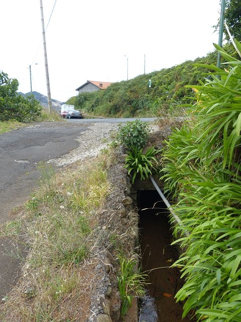 Levada Nova de Machico — Abschnitt 2: Vom Aufstiegsweg von Maroços zur ER108 — Foto 5