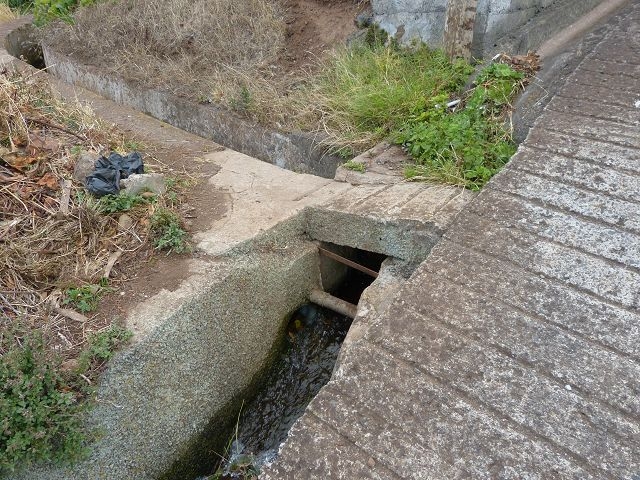 Levada Nova de Machico — Abschnitt 3: Von der ER108 bis zum grossen Reservoir — Foto 5