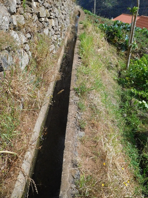 Levada Nova de Machico — Abschnitt 3: Von der ER108 bis zum grossen Reservoir — Foto 8