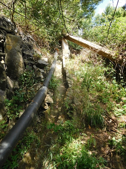 Levada Nova de Machico — Abschnitt 4: Vom grossen Reservoir über die Felsbalkone zum aktuellen Ende des Hauptastes — Foto 2