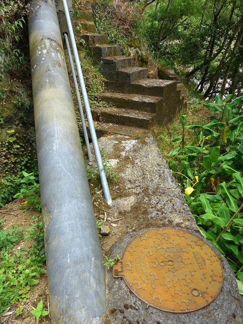Levada Nova de Machico — Abschnitt 1: Von der Madre zum Aufstiegsweg von Maroços — Foto 4