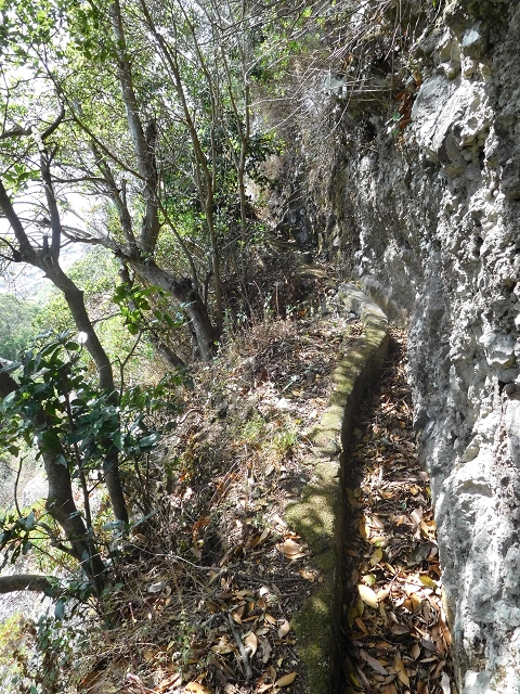 Levada Nova de Machico — Abschnitt 4: Vom grossen Reservoir über die Felsbalkone zum aktuellen Ende des Hauptastes — Foto 9