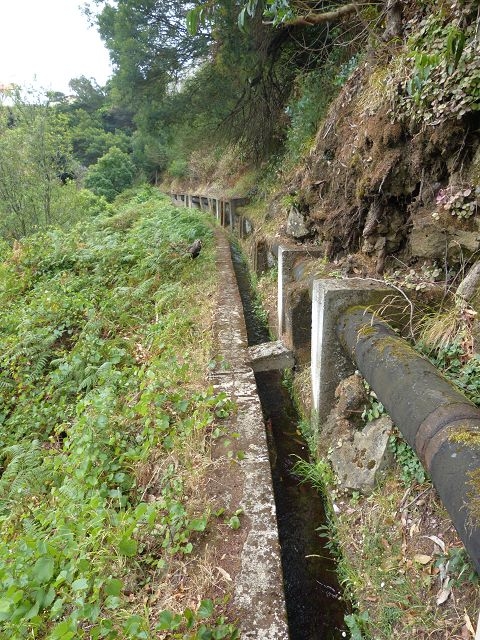 Levada Nova de Machico — Abschnitt 1: Von der Madre zum Aufstiegsweg von Maroços — Foto 7