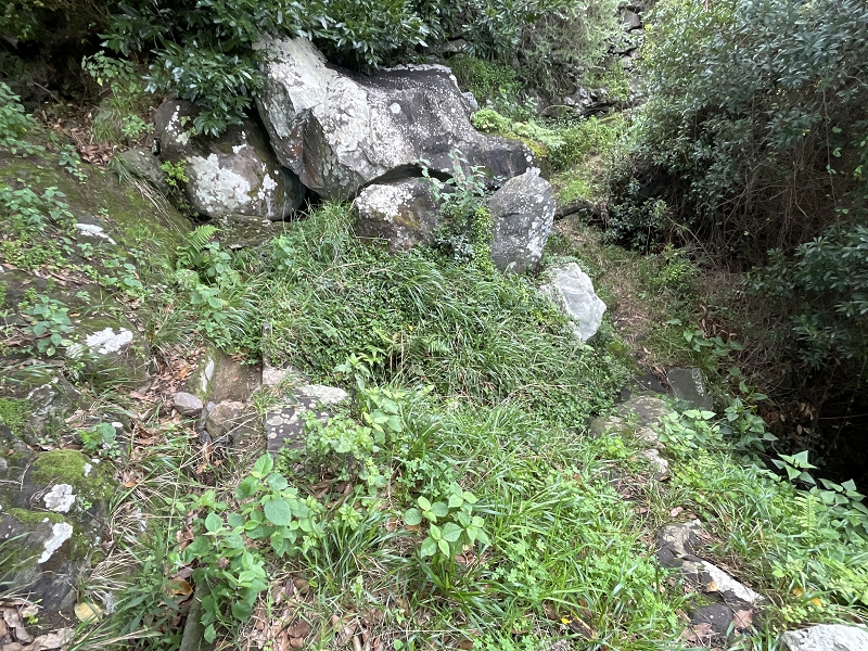 Levada Nova de Machico — Abschnitt 5: Unterer Nebenast (jetzt Hauptast) bis zum Aufstiegsweg zum Miradouro da Queimada — Foto 1