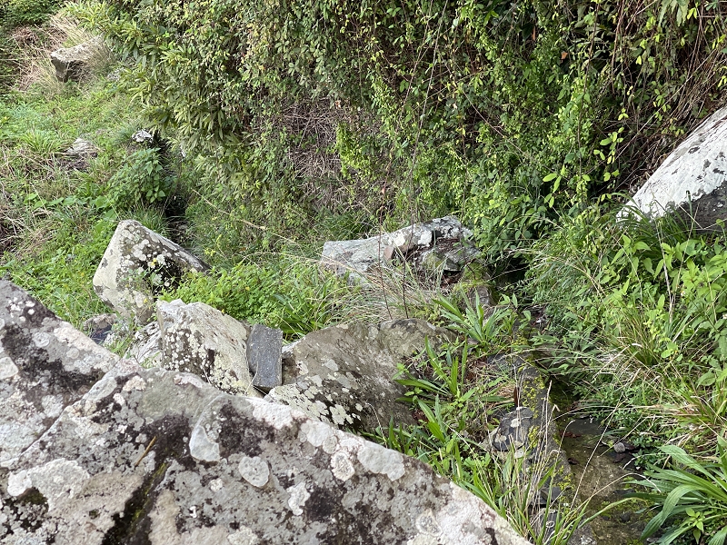 Levada Nova de Machico — Abschnitt 6: Unterer Nebenast (jetzt Hauptast) vom Aufstiegsweg zum Miradouro da Queimada bis zum Ende — Foto 7