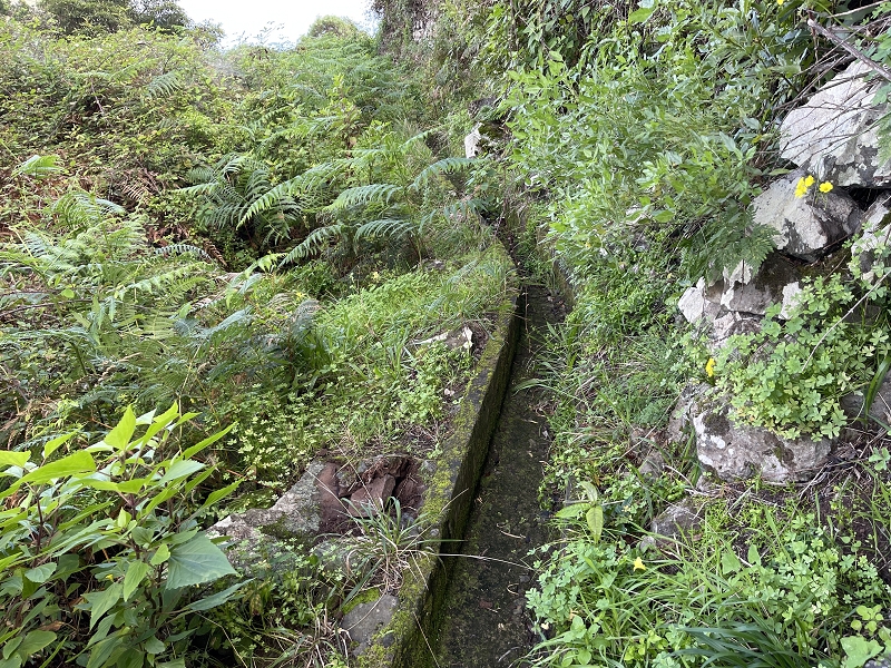 Levada Nova de Machico — Abschnitt 6: Unterer Nebenast (jetzt Hauptast) vom Aufstiegsweg zum Miradouro da Queimada bis zum Ende — Foto 8