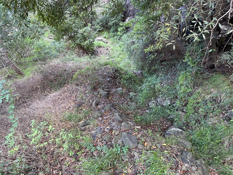 Levada Nova de Machico — Abschnitt 6: Unterer Nebenast (jetzt Hauptast) vom Aufstiegsweg zum Miradouro da Queimada bis zum Ende — Foto 13