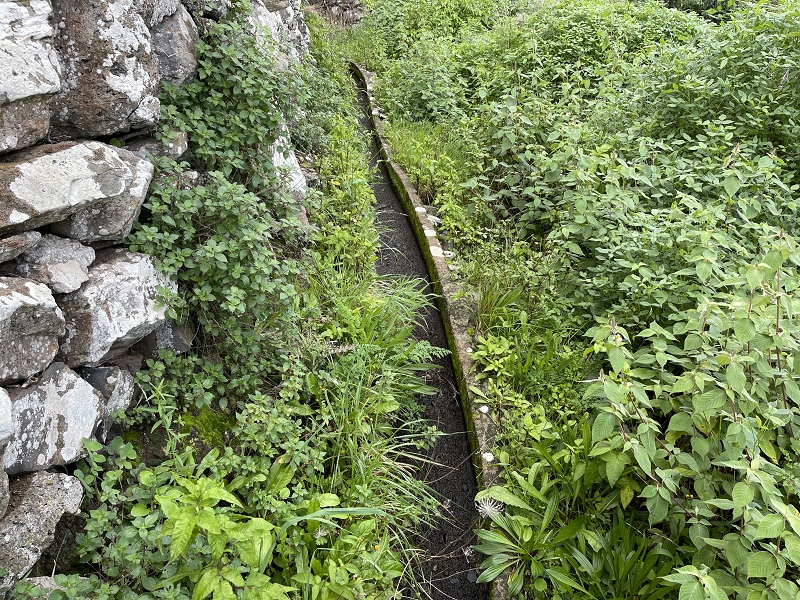 Levada Nova de Machico — Abschnitt 5: Unterer Nebenast (jetzt Hauptast) bis zum Aufstiegsweg zum Miradouro da Queimada — Foto 2
