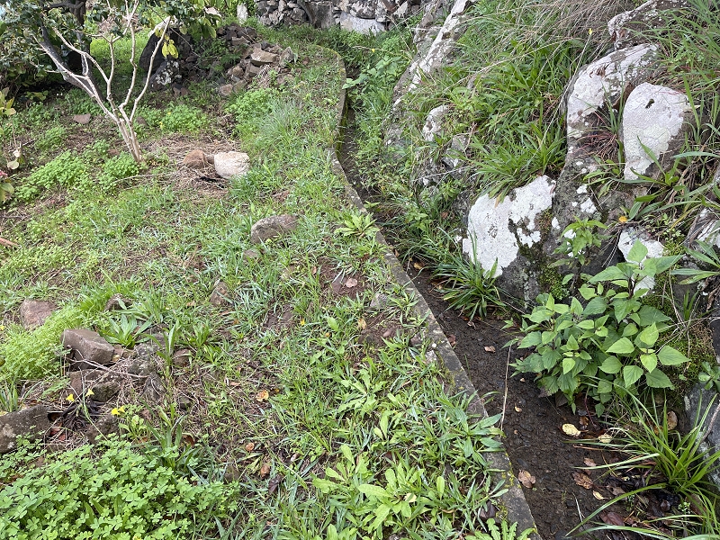 Levada Nova de Machico — Abschnitt 6: Unterer Nebenast (jetzt Hauptast) vom Aufstiegsweg zum Miradouro da Queimada bis zum Ende — Foto 3