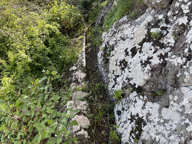 Levada Nova de Machico — Abschnitt 6: Unterer Nebenast (jetzt Hauptast) vom Aufstiegsweg zum Miradouro da Queimada bis zum Ende — Foto 5