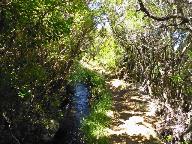 Levada Velha do Lajeado — Situação até 2019 — foto 10