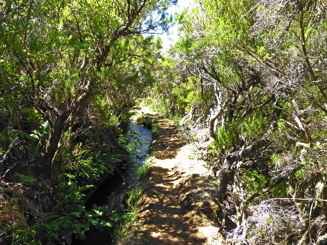 Levada Velha do Lajeado — Situação até 2019 — foto 11