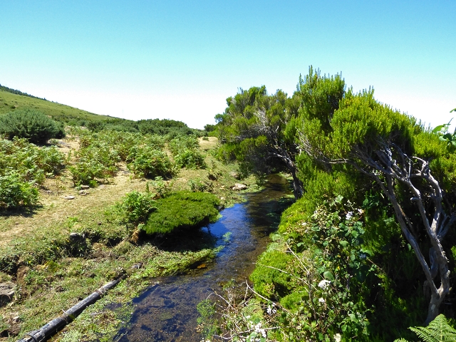 Levada Velha do Lajeado — Situação até 2019 — foto 12