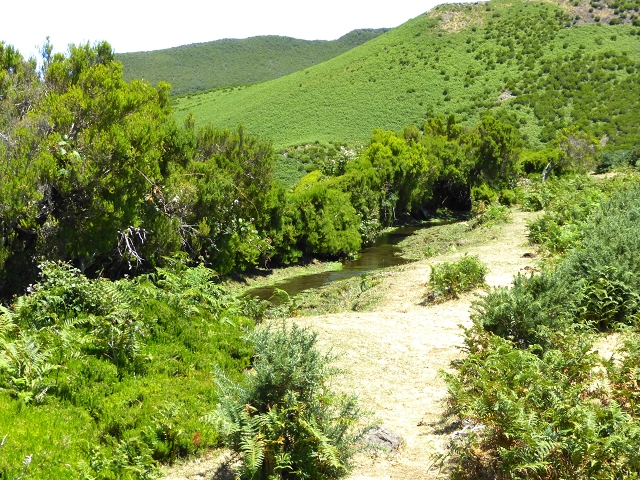 Levada Velha do Lajeado — Situação até 2019 — foto 13