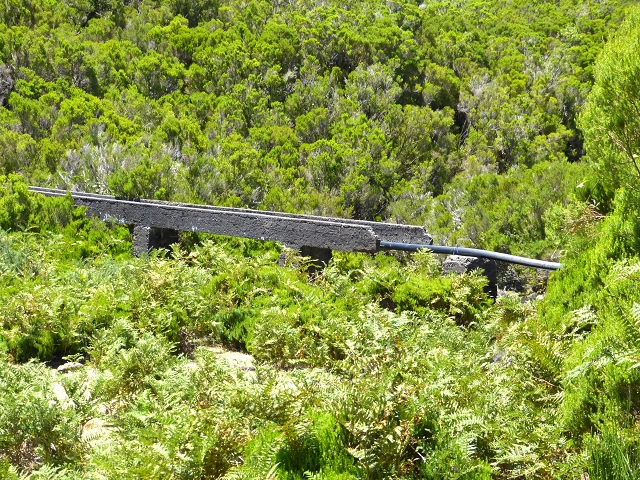 Levada Velha do Lajeado — Situação até 2019 — foto 15