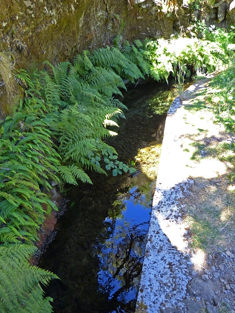 Levada Velha do Lajeado — Situação até 2019 — foto 2