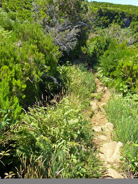 Levada Velha do Lajeado — Situação até 2019 — foto 3