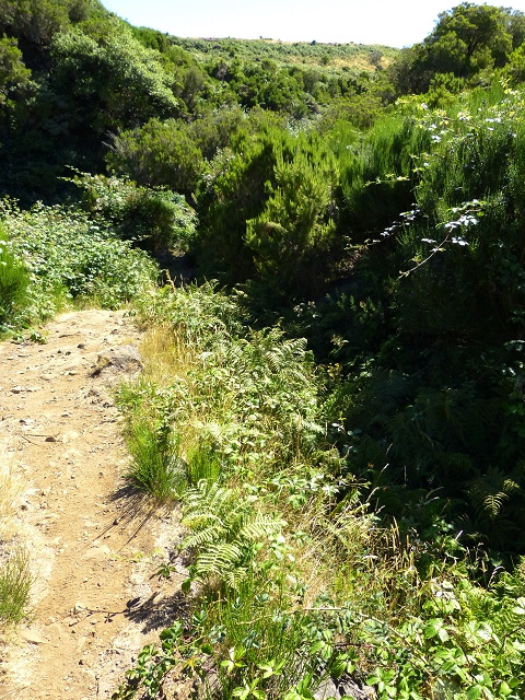 Levada Velha do Lajeado — Situação até 2019 — foto 4